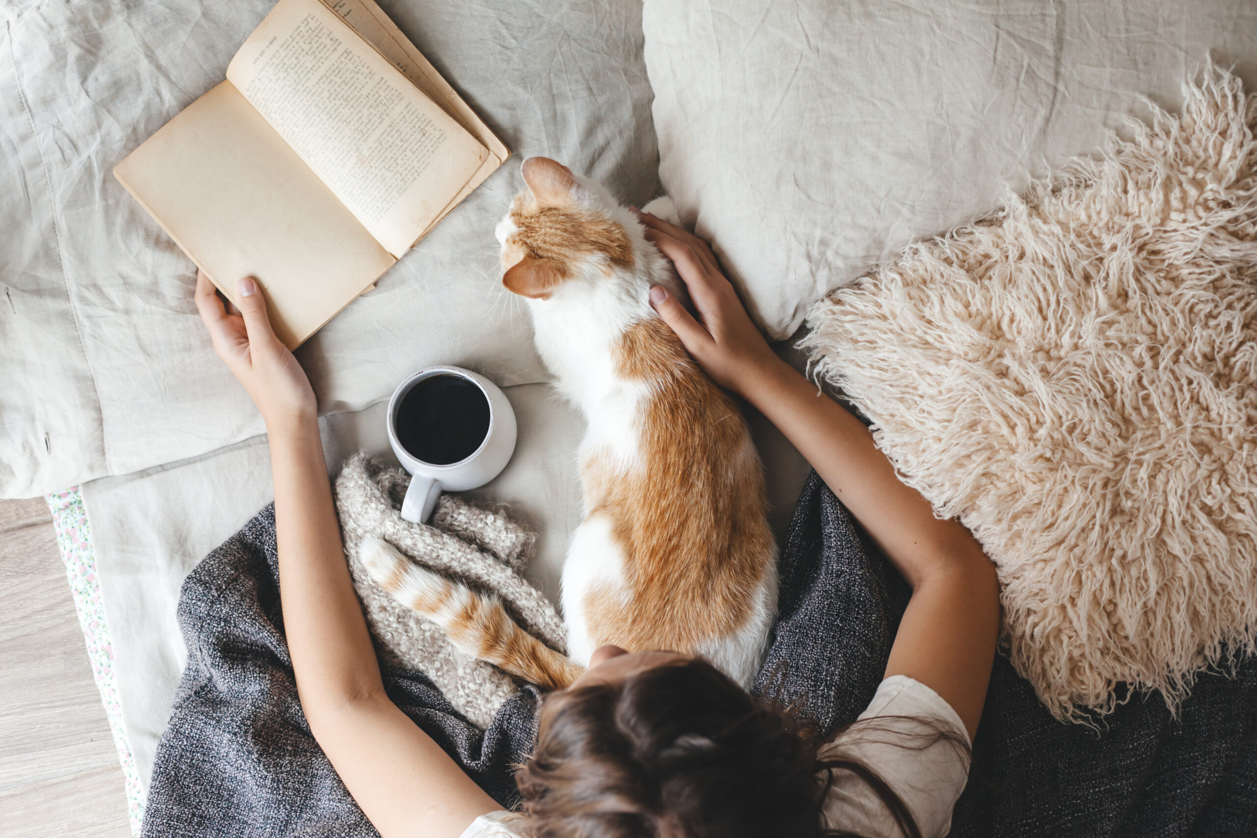 Cute,Ginger,Cat,Is,Sleeping,In,The,Bed,On,Warm